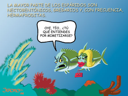 20060130081943-camuflaje-blog.jpg
