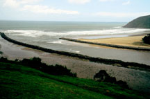 20060204042754-rodiles-blog.jpg