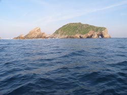 20060303163454-erbosa-blog.jpg